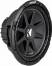 Kicker C124